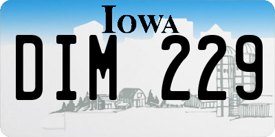 IA license plate DIM229