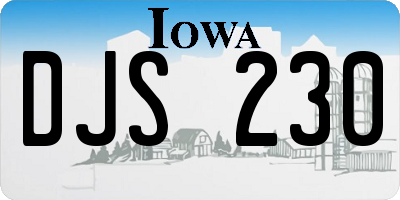 IA license plate DJS230