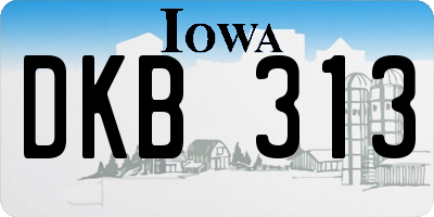IA license plate DKB313