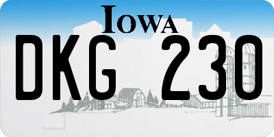 IA license plate DKG230