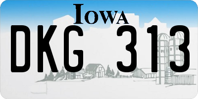 IA license plate DKG313