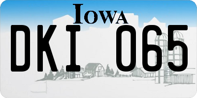 IA license plate DKI065