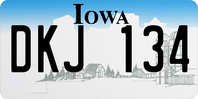 IA license plate DKJ134