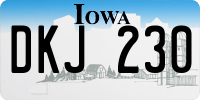 IA license plate DKJ230
