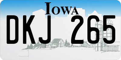 IA license plate DKJ265