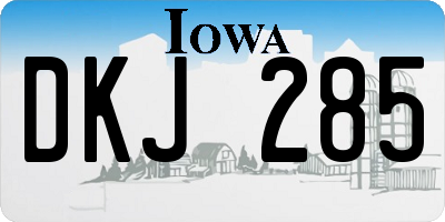 IA license plate DKJ285