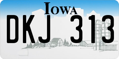 IA license plate DKJ313