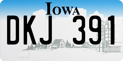IA license plate DKJ391