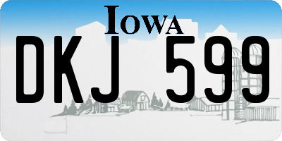 IA license plate DKJ599