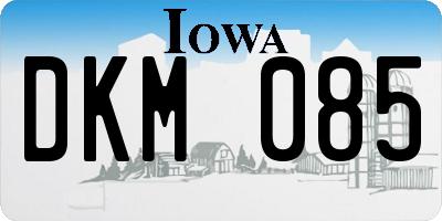 IA license plate DKM085