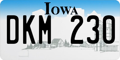 IA license plate DKM230