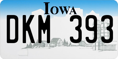 IA license plate DKM393