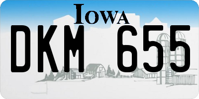 IA license plate DKM655