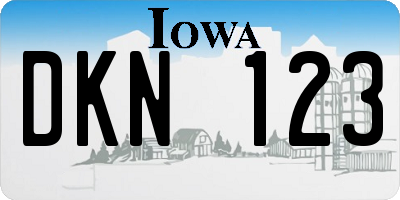 IA license plate DKN123