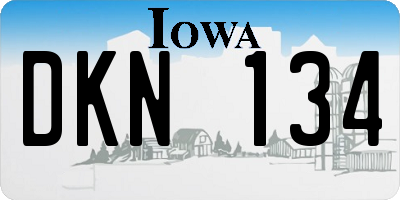 IA license plate DKN134