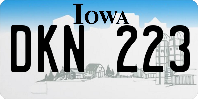 IA license plate DKN223