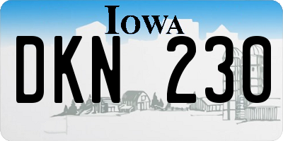 IA license plate DKN230
