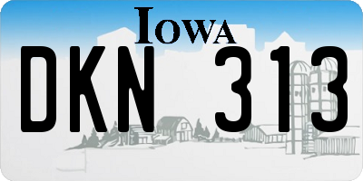 IA license plate DKN313