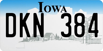 IA license plate DKN384