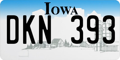 IA license plate DKN393