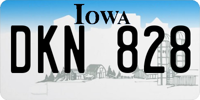 IA license plate DKN828