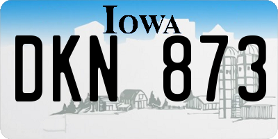 IA license plate DKN873