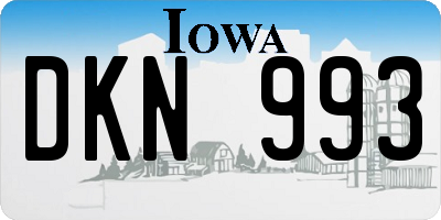 IA license plate DKN993