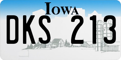 IA license plate DKS213