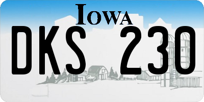 IA license plate DKS230