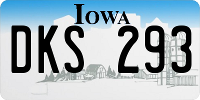 IA license plate DKS293