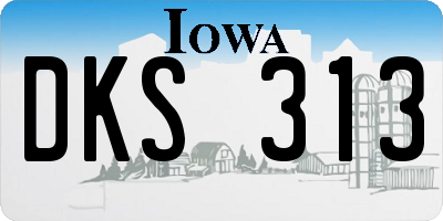 IA license plate DKS313