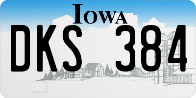 IA license plate DKS384