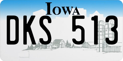 IA license plate DKS513
