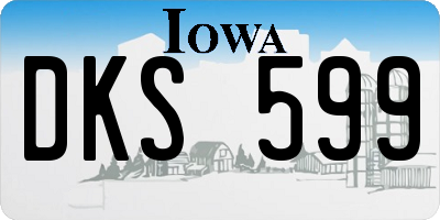 IA license plate DKS599