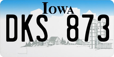 IA license plate DKS873