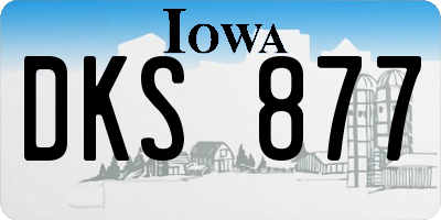 IA license plate DKS877