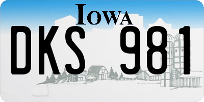 IA license plate DKS981