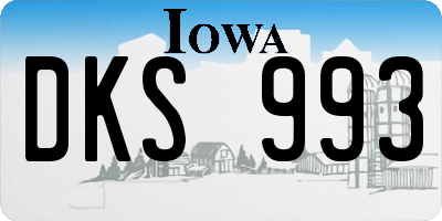 IA license plate DKS993