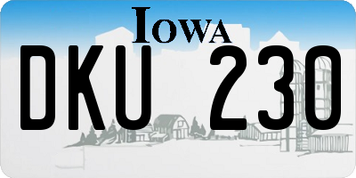 IA license plate DKU230