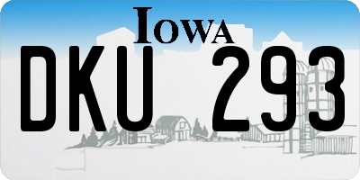 IA license plate DKU293