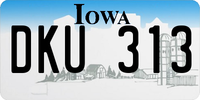 IA license plate DKU313