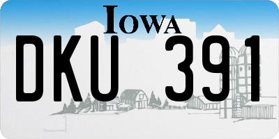 IA license plate DKU391