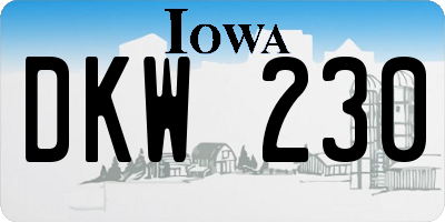 IA license plate DKW230
