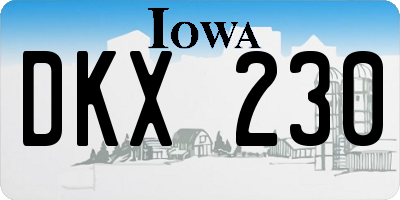 IA license plate DKX230