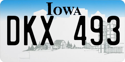 IA license plate DKX493