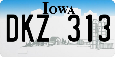IA license plate DKZ313