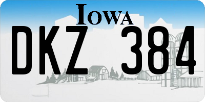 IA license plate DKZ384