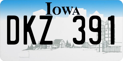 IA license plate DKZ391