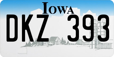 IA license plate DKZ393