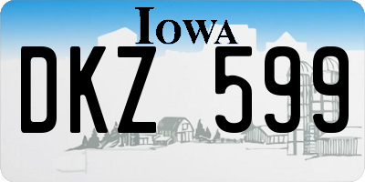 IA license plate DKZ599